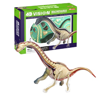 4D Vision ไดโนเสาร์ Brachiosaurus