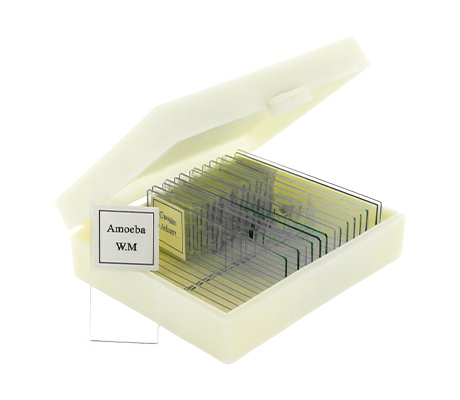 ชุดสไลด์สำเร็จรูป 25 แผ่น (พร้อมกล่อง)